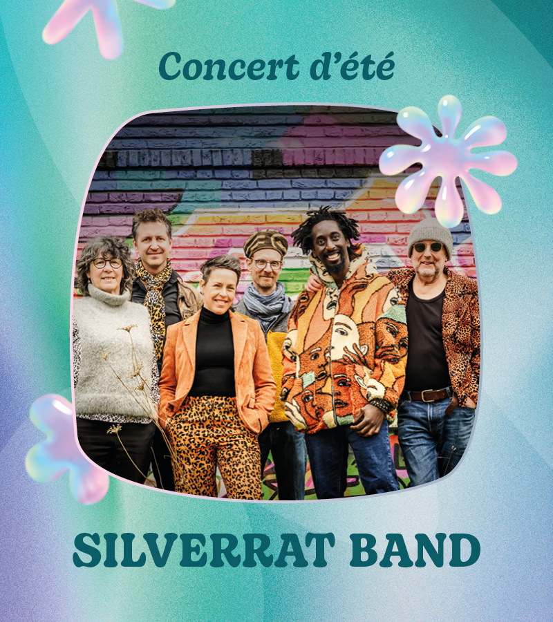 affiche du film SilverRat Band