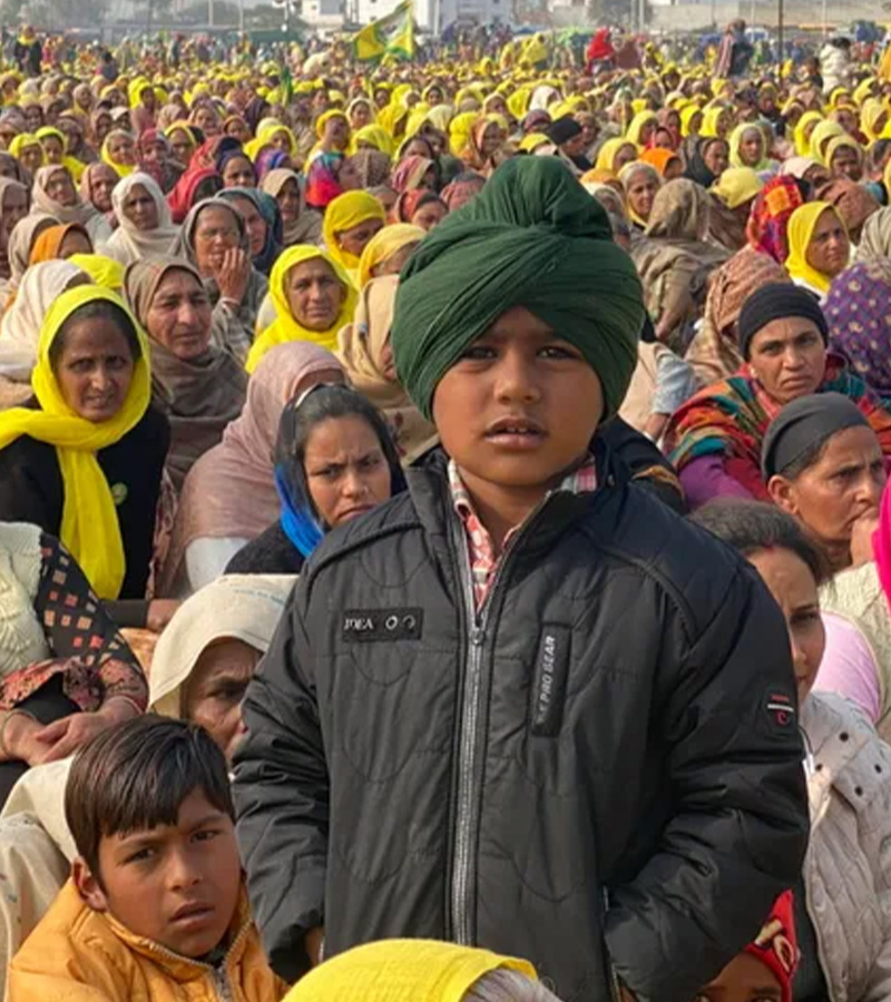 affiche du film Farming the Revolution 