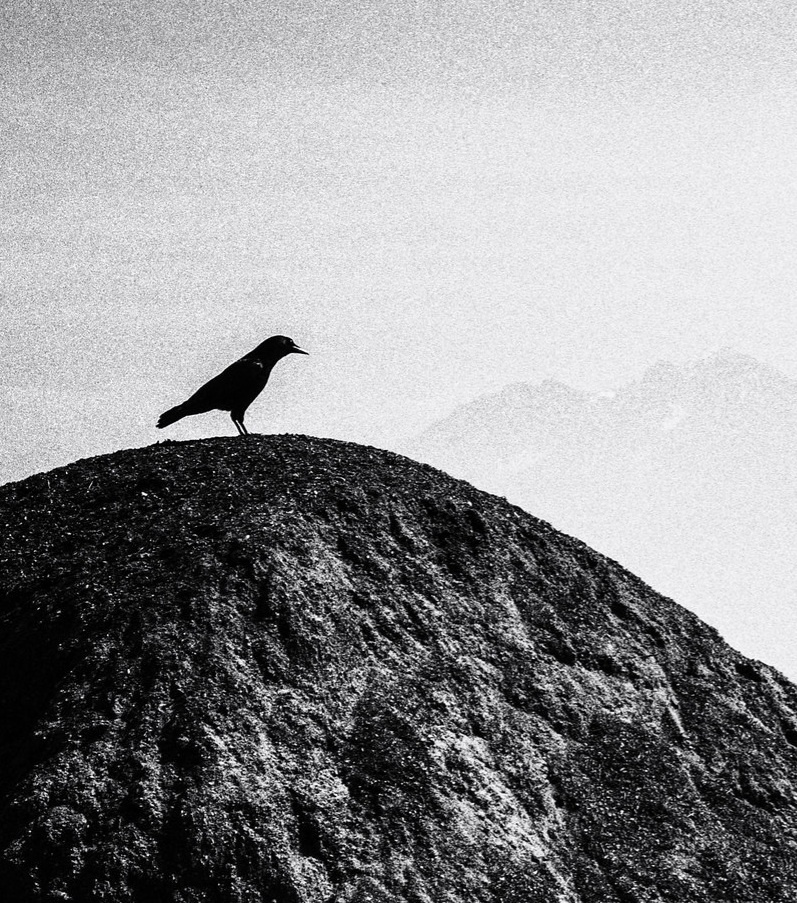 affiche du film Julien Flawinne