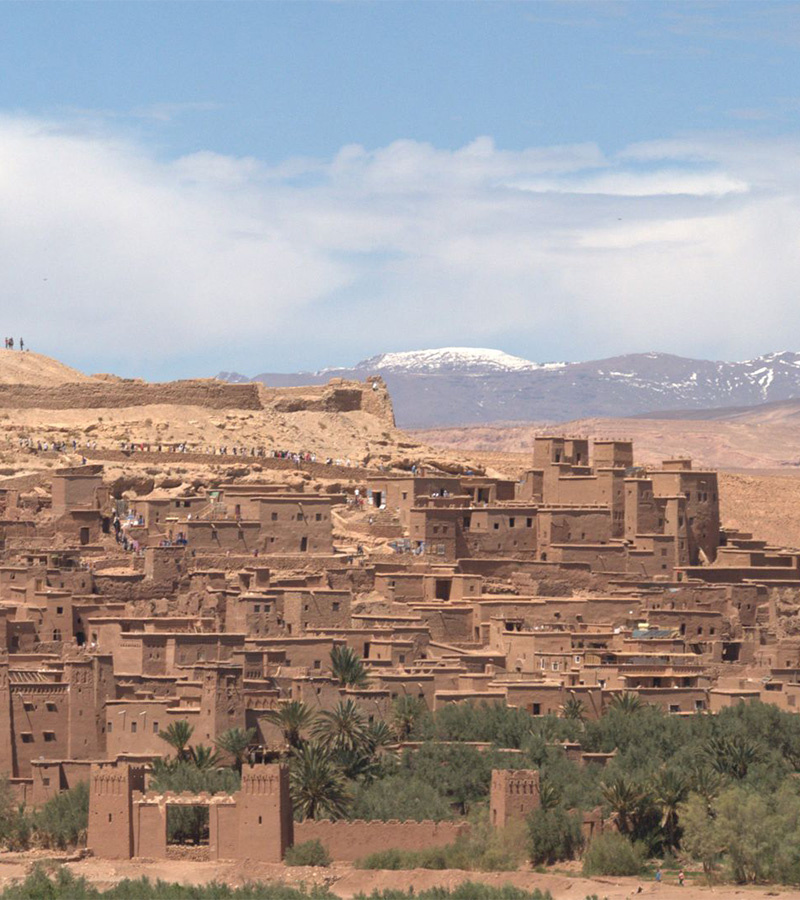 affiche du film Maroc, version vanlife